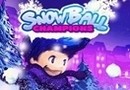 Snowball Champions