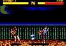 Street Fighter 2: Master System